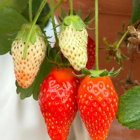 Casa vacanze Maria By Host-point *